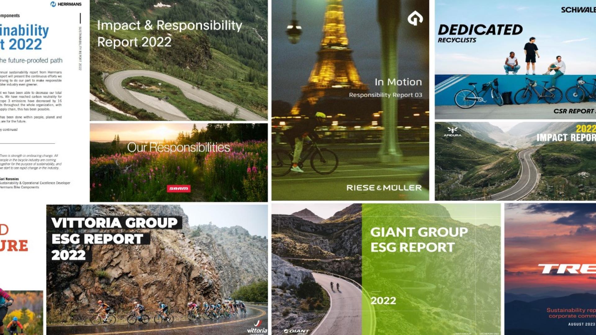 Collage bike photo's